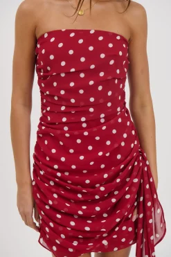 Charley Mini Dress Wine